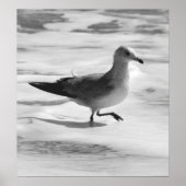 B&W Seagull in Ocean Foam Poster (Vorne)