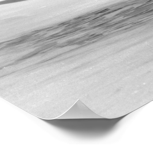 B&W Seagull in Ocean Foam Poster (Ecke)