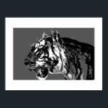 B&W Siberian Tiger Pop Art Poster Print<br><div class="desc">Black & White Tiger Portrait Pop Wilde Tiere Kunst,  Dichtung und Musik Pop Tigerfass Kunst,  Dichtung und Musik Pop Wilde Tiere Tigerherz Pop</div>