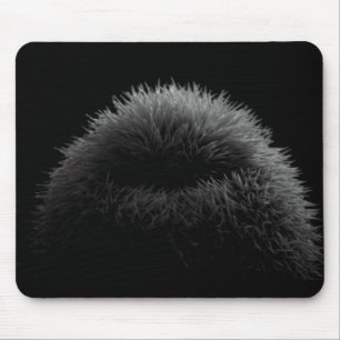 B&W Silhouette Mousepad