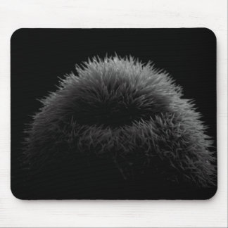 B&W Silhouette Mousepad