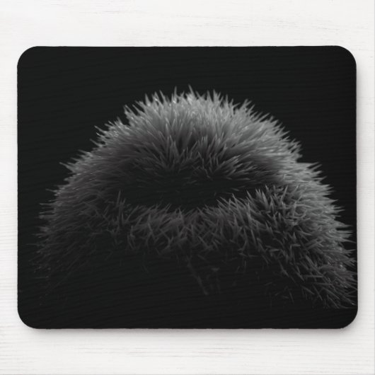 B&W Silhouette Mousepad (Vorne)