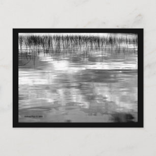 B&W Sky Reflection on Lake with Reeds Postcard Postkarte