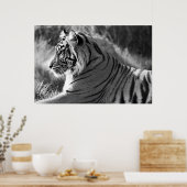B&W Tiger Profile Foto Poster (Küche)