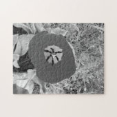 b + w tulip puzzle (Horizontal)