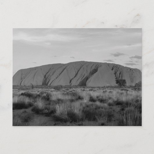 B&W Uluru Postkarte (Vorderseite)