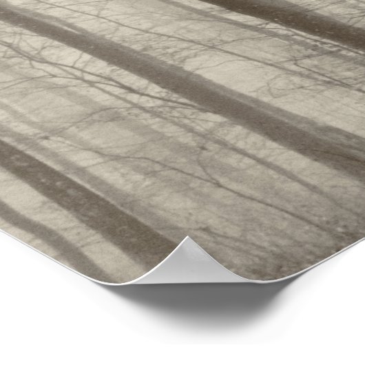 B&W Wald mit Morgennebel hinter den Bäumen Poster (Ecke)