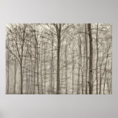 B&W Wald mit Morgennebel hinter den Bäumen Poster (Vorne)