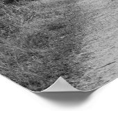 B&W-Waldweg Poster (Ecke)