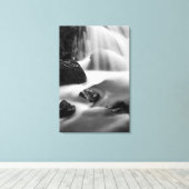 B&W Wasserfall, Kalifornien Leinwanddruck (Insitu (Holzboden))