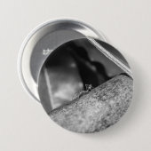 B&W - Weaver Ant on a Wood Button (Vorne & Hinten)
