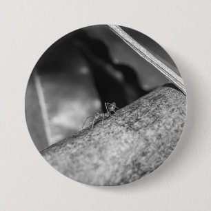 B&W - Weaver Ant on a Wood Button