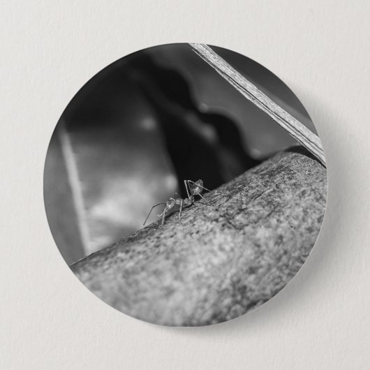 B&W - Weaver Ant on a Wood Button (Vorderseite)