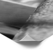 B&W - Weaver Ant on a Wood Poster (Ecke)