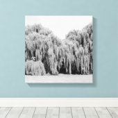 B&W Weeping Willow Trees Leinwanddruck (Insitu (Holzboden))