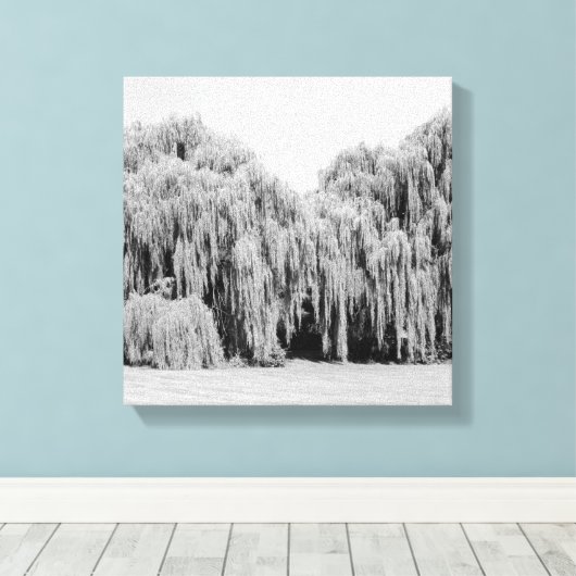 B&W Weeping Willow Trees Leinwanddruck (Insitu (Holzboden))