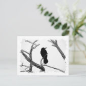 B&W Winter Raven Edgar Allan Poe Postkarte (Stehend Vorderseite)