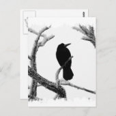 B&W Winter Raven Edgar Allan Poe Postkarte (Vorne/Hinten)