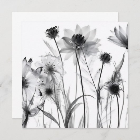 B&W X-Ray-Blume (Vorne/Hinten)