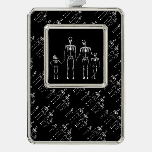 B&W X-Ray Skeleton Family Rahmen-Ornament Silber (Vorderseite)