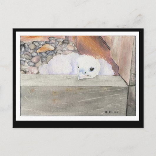 B. Weaver Orion Design Postkarte (Vorderseite)