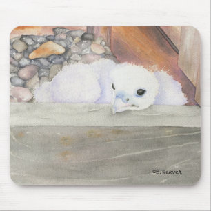 B.Weaver Orion Entwurf Mousepad
