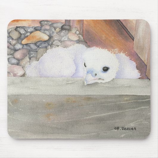 B.Weaver Orion Entwurf Mousepad (Vorne)