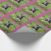 Baa Baa Black Sheep Geschenkpapier (Ecke)