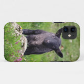Baa Baa Black Sheep iPhone 5 Case-Mate Hülle (Rückseite (Horizontal))