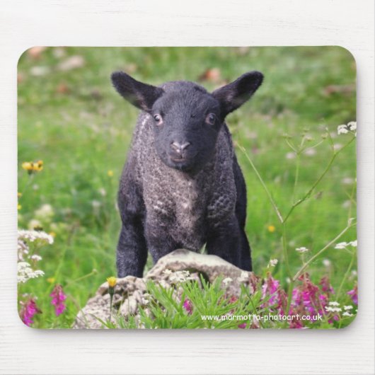 Baa-Baa Black Sheep Mousemat Mousepad (Vorne)
