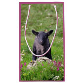 Baa Baa Schwarzes Schaf Geschenktüte (Rückseite)