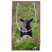 Baa Baa Schwarzes Schaf Geschenktüte (Vorderseite)
