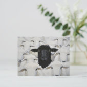 Baa-tle of Individuality Postkarte (Stehend Vorderseite)