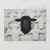Baa-tle of Individuality Postkarte (Vorderseite)