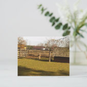 Baaa! Postkarte (Stehend Vorderseite)