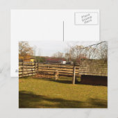 Baaa! Postkarte (Vorne/Hinten)