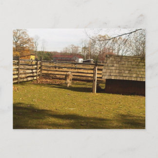 Baaa! Postkarte