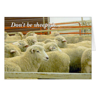 Baaaaa! - Behalten Sie in der Touch!