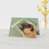 BAAAAAA Sheep wird gut Karte (Gelbe Blume)