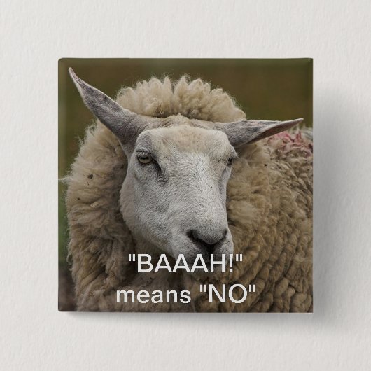 BAAAH! BUTTON (Vorderseite)