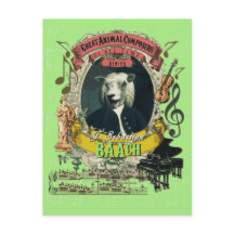 Baach Funny Sheep Great Animal Composer Bach