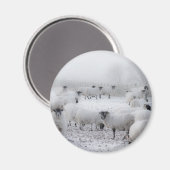 Baad Weather Magnet (Vorderseite/Rückseite)