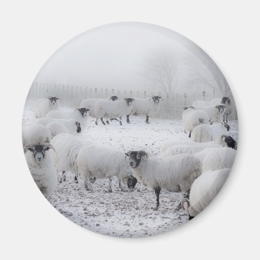 Baad Weather Magnet (Vorne)