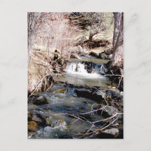 Babbling Brook Postkarte