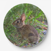 Babby Bunny Paper Plate Pappteller (Vorderseite)