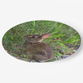 Babby Bunny Papierplatte Pappteller (Schrägansicht)