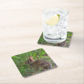 Babby Bunny Papieruntersetzer Rechteckiger Pappuntersetzer (Vor Ort)