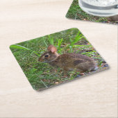 Babby Bunny Papieruntersetzer Rechteckiger Pappuntersetzer (angewinkelt)