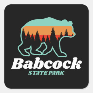 Babcock Staat Park West Virginia Bären Retro Quadratischer Aufkleber