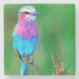 _babero Bird blue Steinuntersetzer